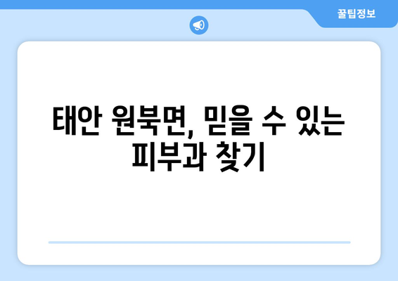 충청남도 태안군 원북면 피부과 추천| 믿을 수 있는 의료진과 편리한 접근성! | 태안, 원북면, 피부과, 추천, 진료, 예약, 정보