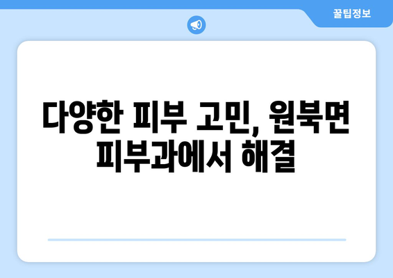 충청남도 태안군 원북면 피부과 추천| 믿을 수 있는 의료진과 편리한 접근성! | 태안, 원북면, 피부과, 추천, 진료, 예약, 정보