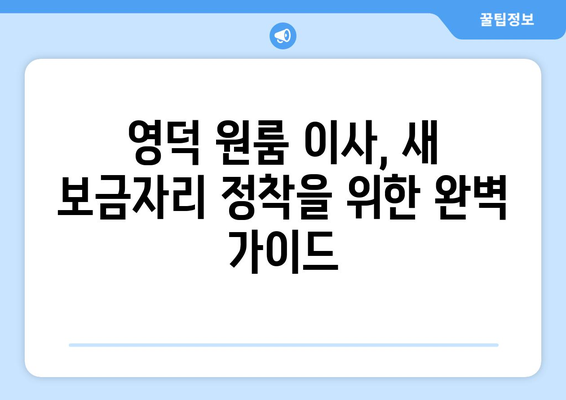 영덕읍 원룸 이사, 짐싸기부터 새 보금자리까지 완벽 가이드 | 영덕군, 원룸 이사, 이삿짐센터, 가격 비교, 꿀팁