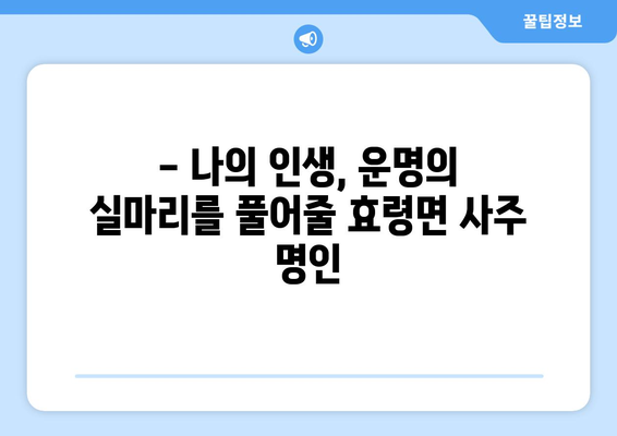 대구 군위군 효령면에서 나에게 맞는 사주 명인 찾기 | 사주, 운세, 궁합, 택일, 대구, 군위, 효령