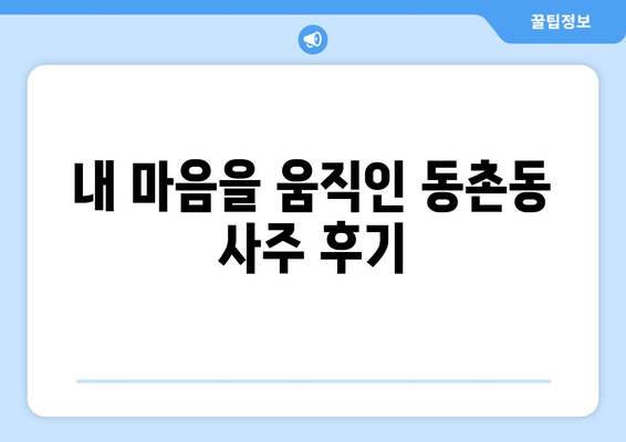 대구 동촌동에서 나에게 맞는 사주 명인 찾기| 후기 & 추천 | 대구 사주, 동촌동 사주, 운세, 궁합, 신점