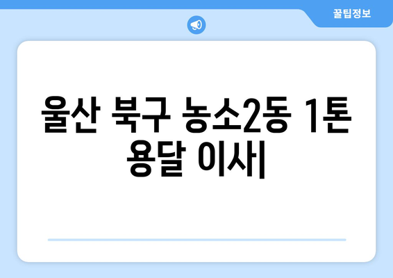 울산 북구 농소2동 1톤 용달 이사| 빠르고 안전한 이사, 지금 바로 예약하세요! | 울산 용달 이사, 1톤 용달, 저렴한 이사 비용, 짐 운반