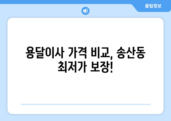 제주도 서귀포시 송산동 용달이사 전문 업체 추천 | 저렴하고 안전한 이삿짐 운송, 친절한 서비스