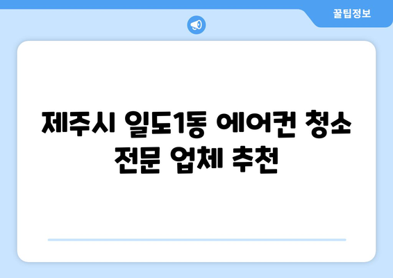 제주도 제주시 일도1동 에어컨 청소 전문 업체 추천 | 에어컨 청소, 냉난방, 실내 공기 정화