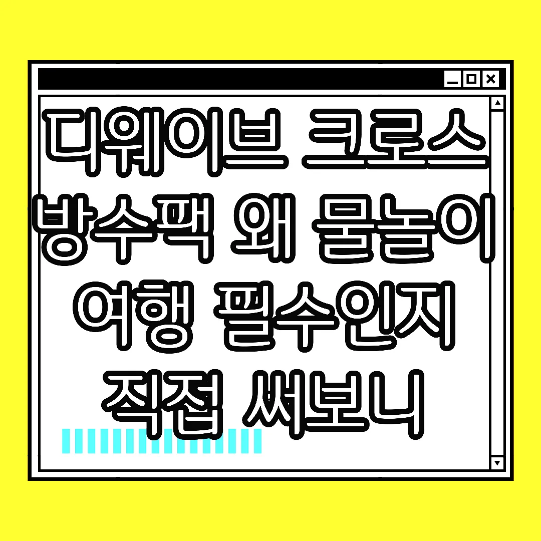 디웨이브 크로스 방수팩 왜 물놀이 여행 필수인지 직접 써보니 썸네일