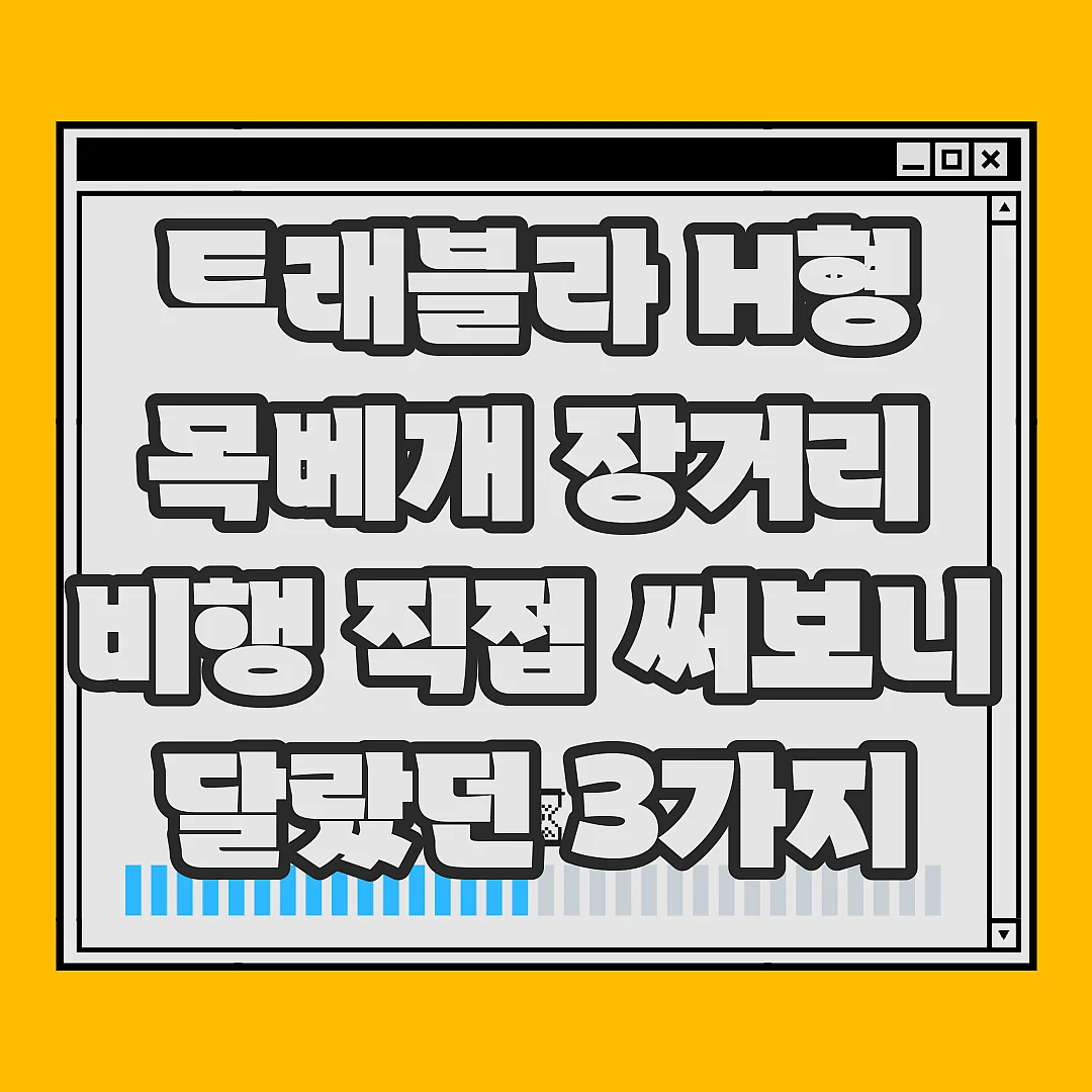 트래블라 H형 목베개 장거리 비행 직접 써보니 달랐던 3가지 썸네일